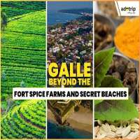 Galle Beyond the Fort Spice Farms and Secret Beaches